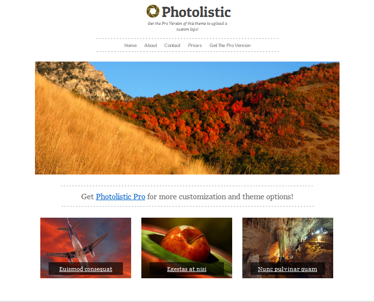 photolistic wordpress portfolio theme